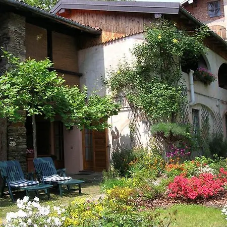 Le Camelie